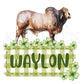 Bull Digital Design Gingham Name Plate Kids Children Shirt PNG Personalized Sub Trendy Brahman Cattle Cow St. Patty's Clover Green Irish